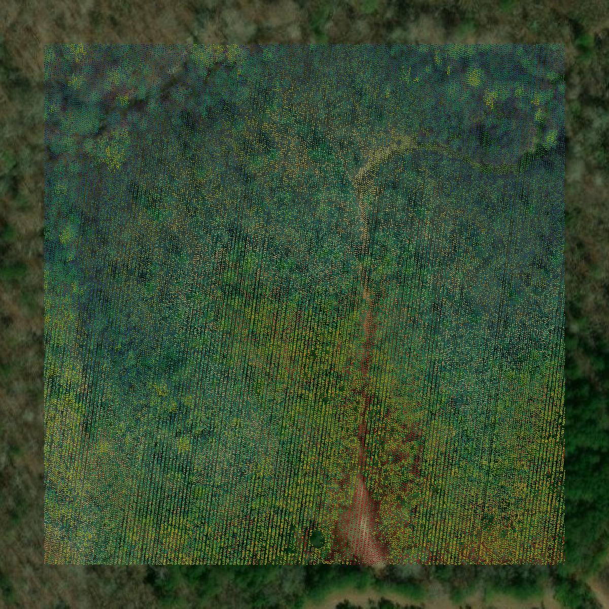 This image shows a LiDAR point cloud in Elmore County created using GIS data in Equator.