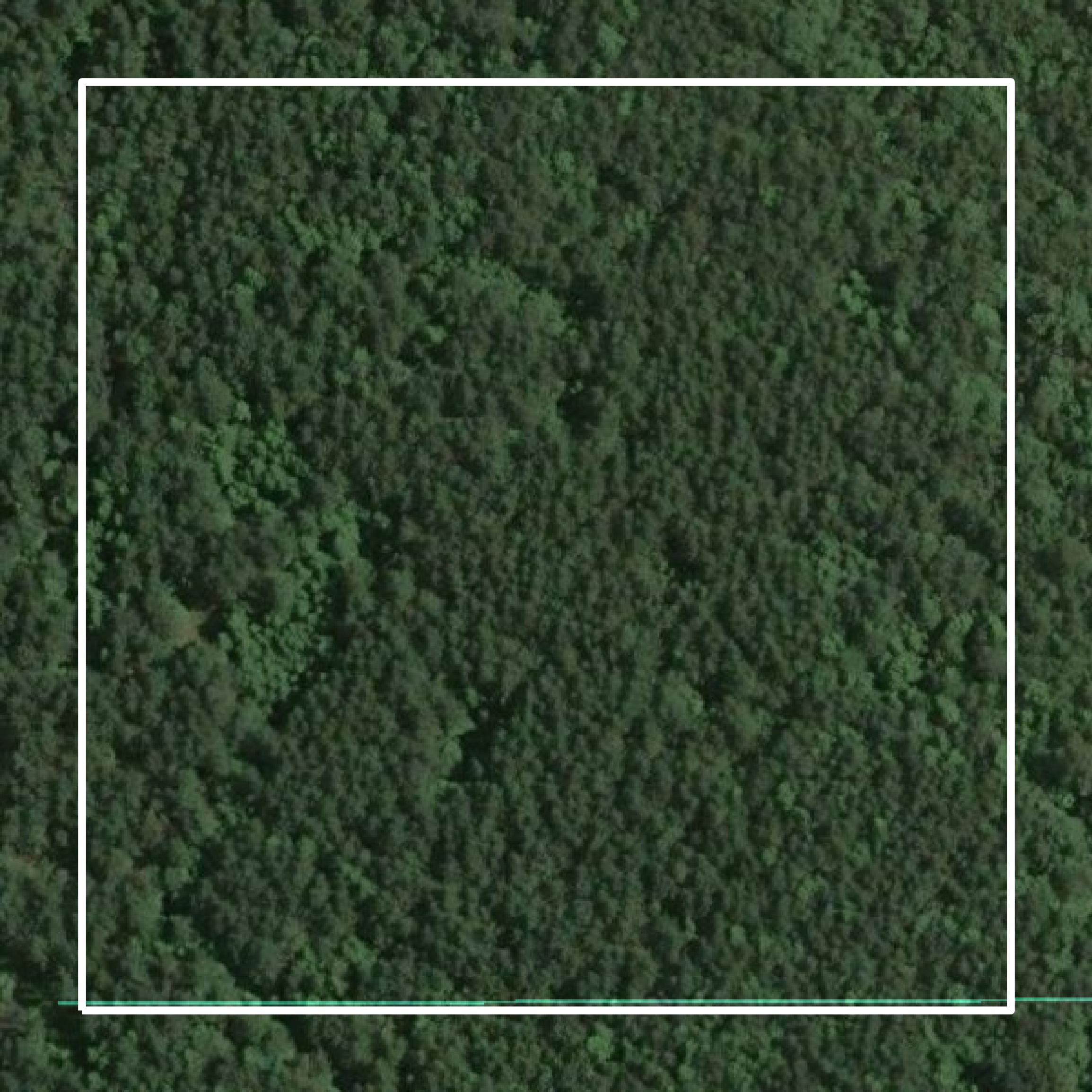 This image shows parcel and building data in Escambia County created using GIS data in Equator.