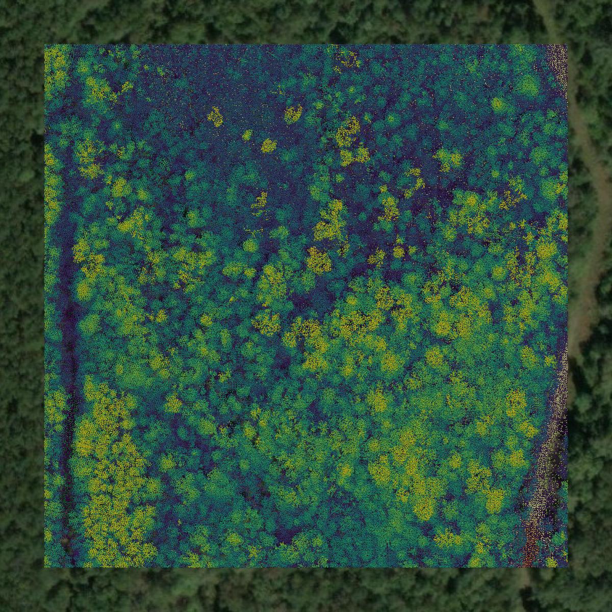 This image shows a LiDAR point cloud in Escambia County created using GIS data in Equator.