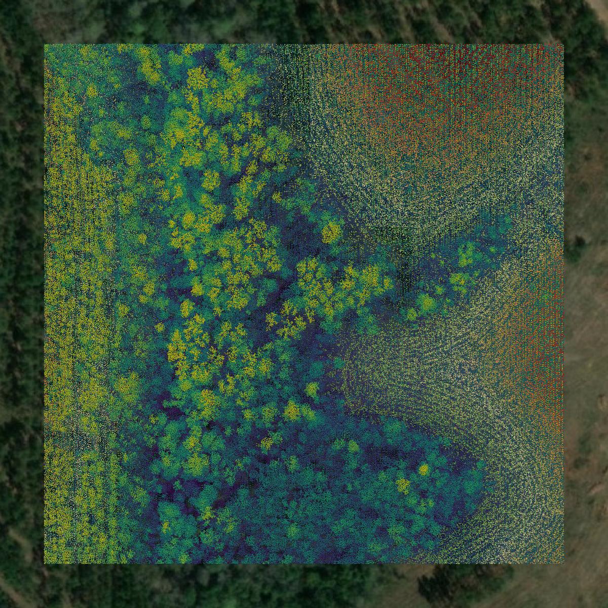 This image shows a LiDAR point cloud in Escambia County created using GIS data in Equator.