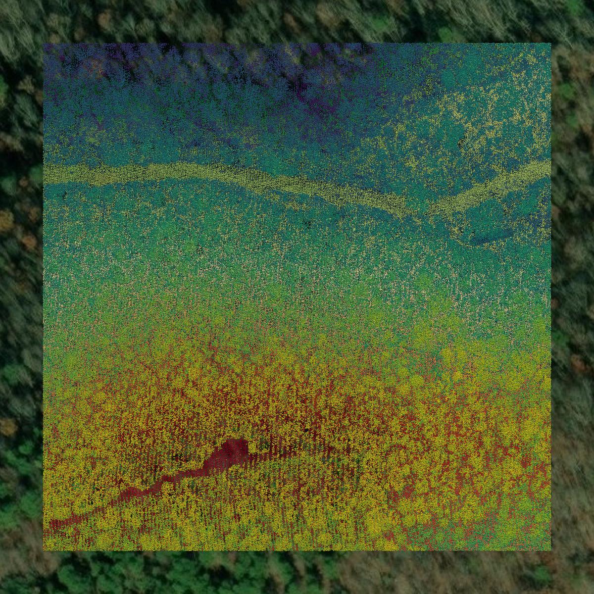 This image shows a LiDAR point cloud in Etowah County created using GIS data in Equator.