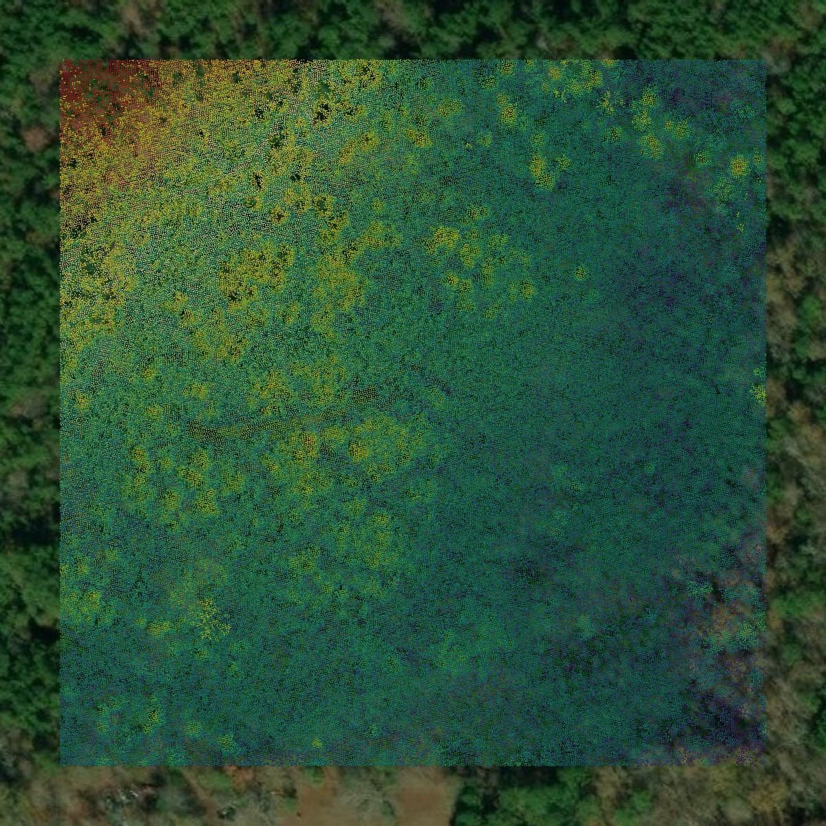 This image shows a LiDAR point cloud in Etowah County created using GIS data in Equator.