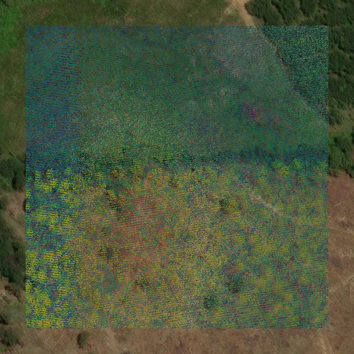 This image shows a LiDAR point cloud in Fayette County created using GIS data in Equator.