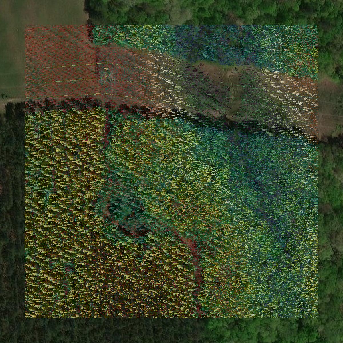 This image shows a LiDAR point cloud in Franklin County created using GIS data in Equator.