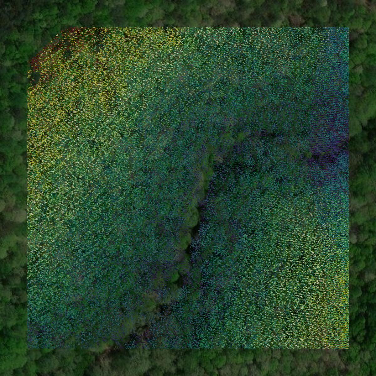 This image shows a LiDAR point cloud in Franklin County created using GIS data in Equator.
