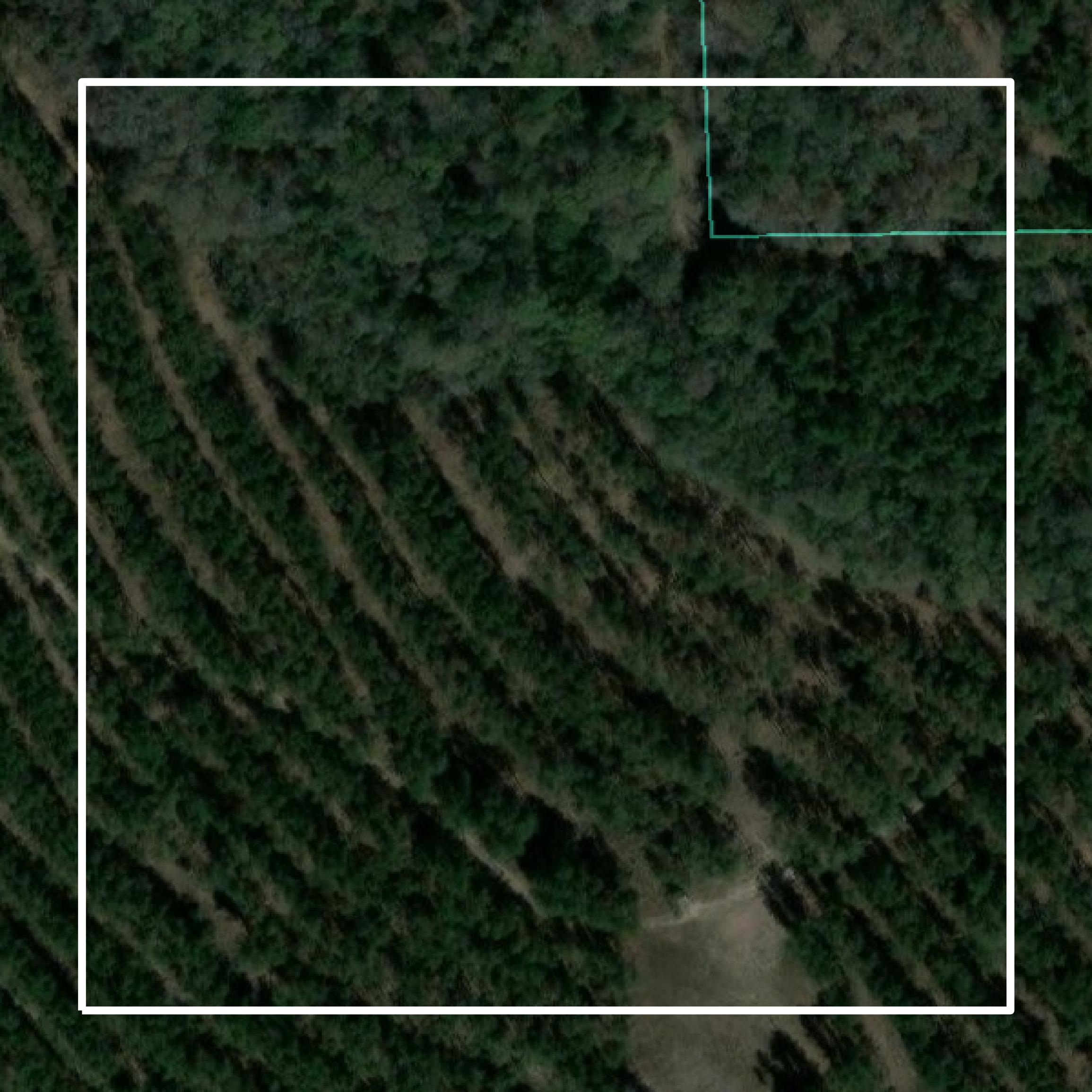 This image shows parcel and building data in Geneva County created using GIS data in Equator.