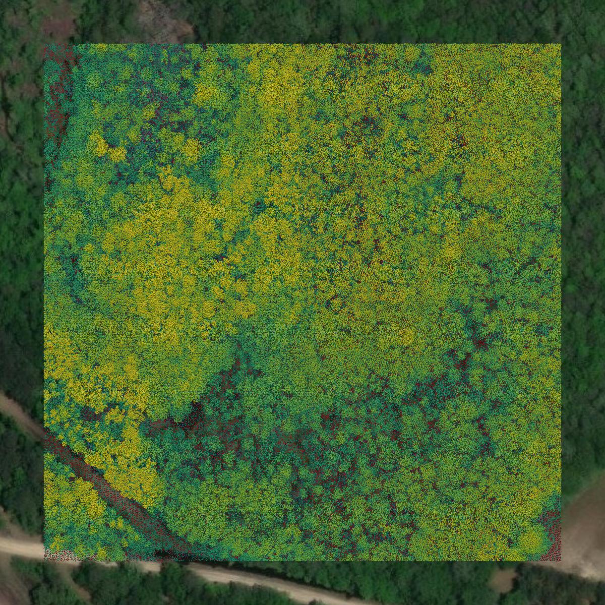 This image shows a LiDAR point cloud in Geneva County created using GIS data in Equator.