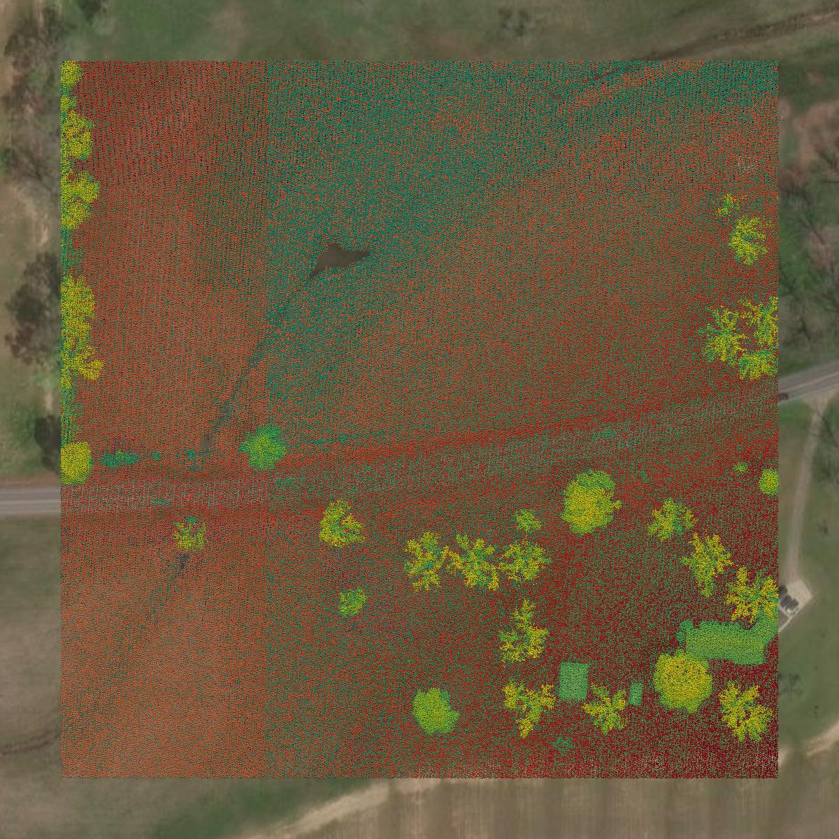 This image shows a LiDAR point cloud in Geneva County created using GIS data in Equator.