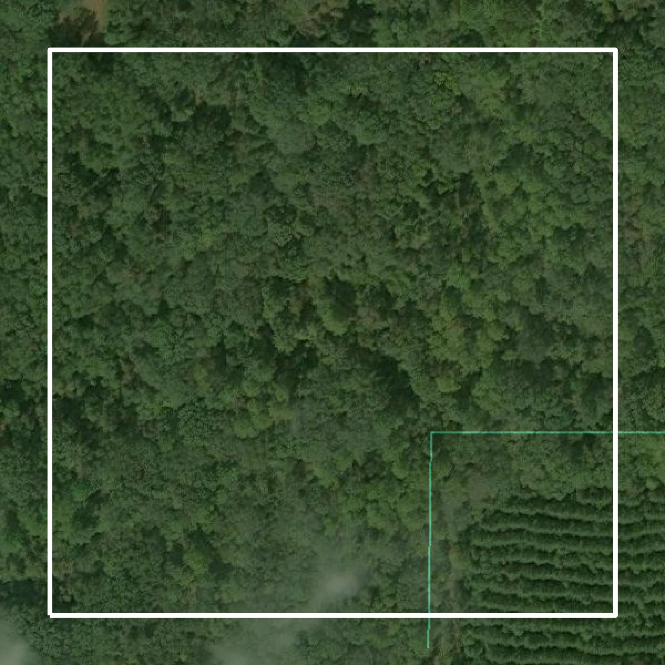 This image shows parcel and building data in Greene County created using GIS data in Equator.
