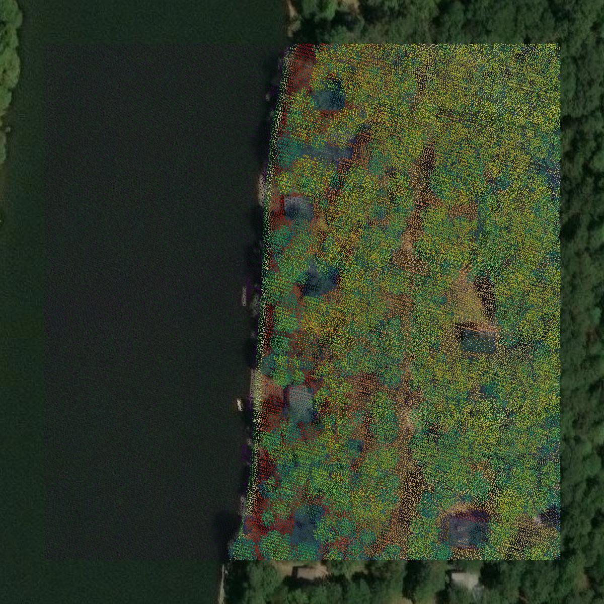This image shows a LiDAR point cloud in Greene County created using GIS data in Equator.