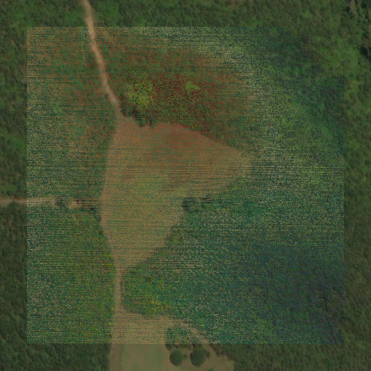 This image shows a LiDAR point cloud in Greene County created using GIS data in Equator.