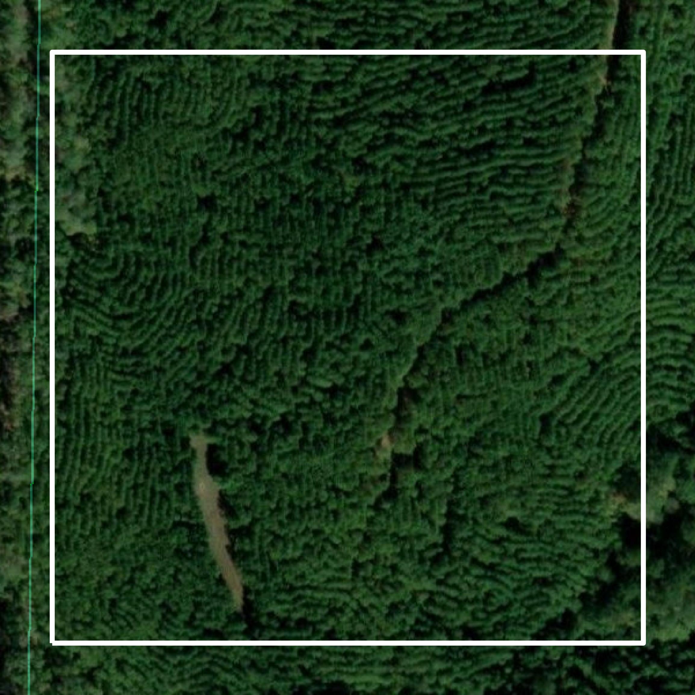This image shows parcel and building data in Hale County created using GIS data in Equator.