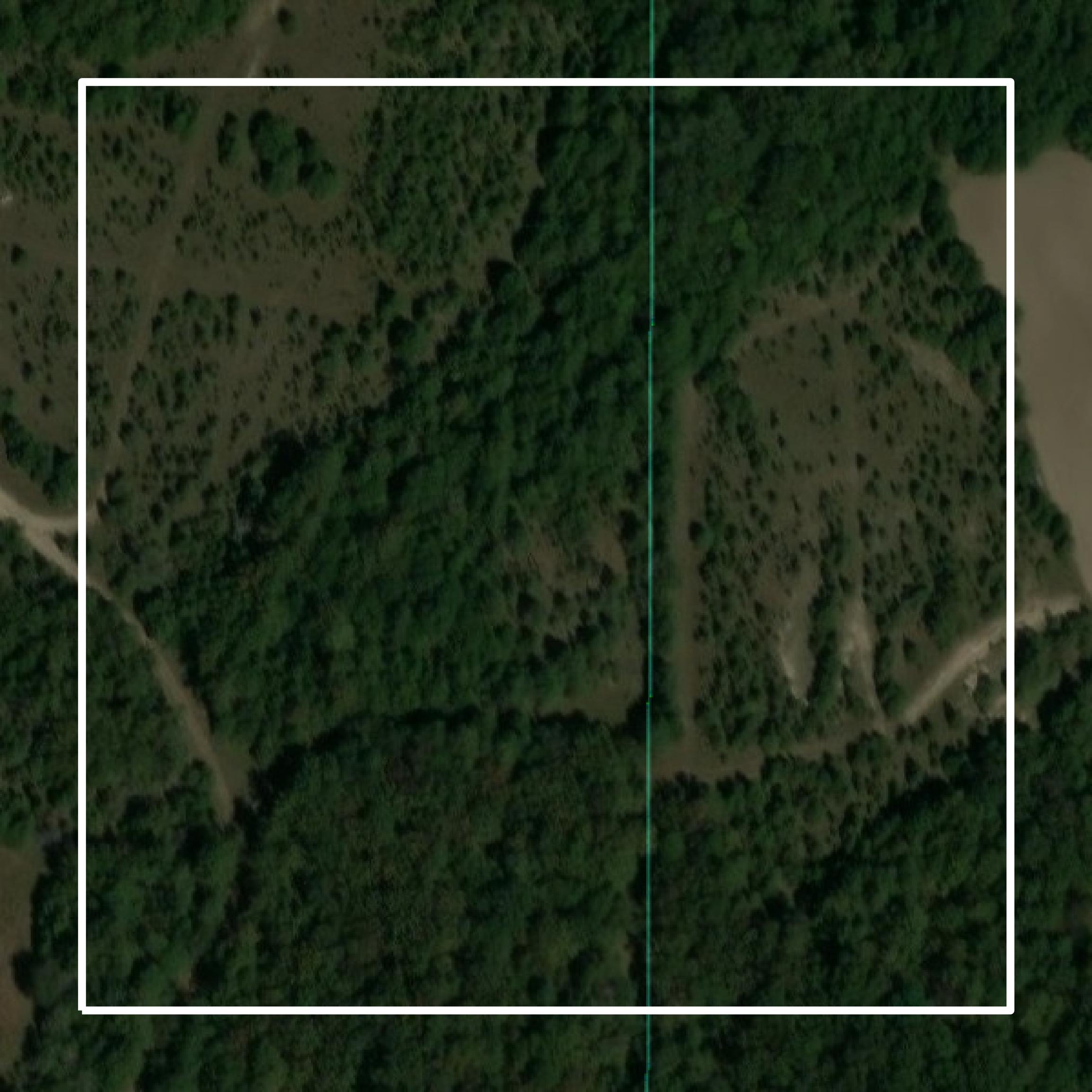 This image shows parcel and building data in Hale County created using GIS data in Equator.