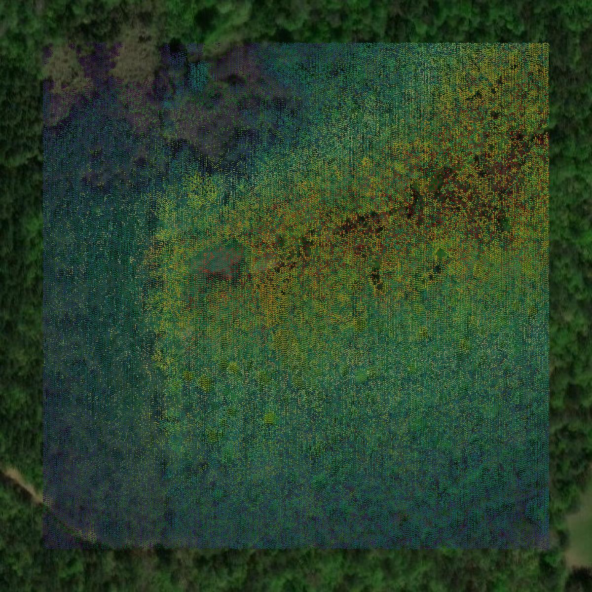 This image shows a LiDAR point cloud in Hale County created using GIS data in Equator.