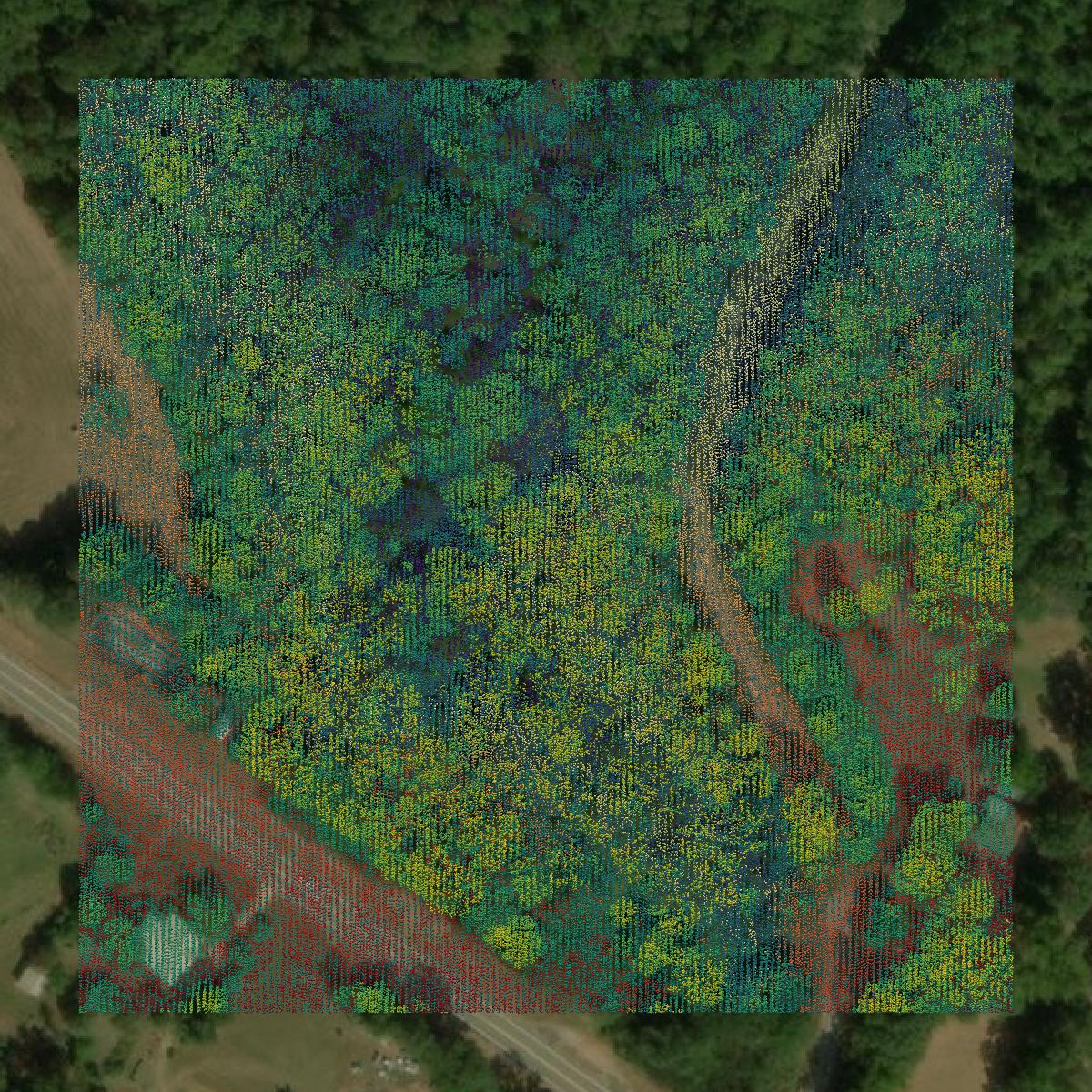 This image shows a LiDAR point cloud in Hale County created using GIS data in Equator.