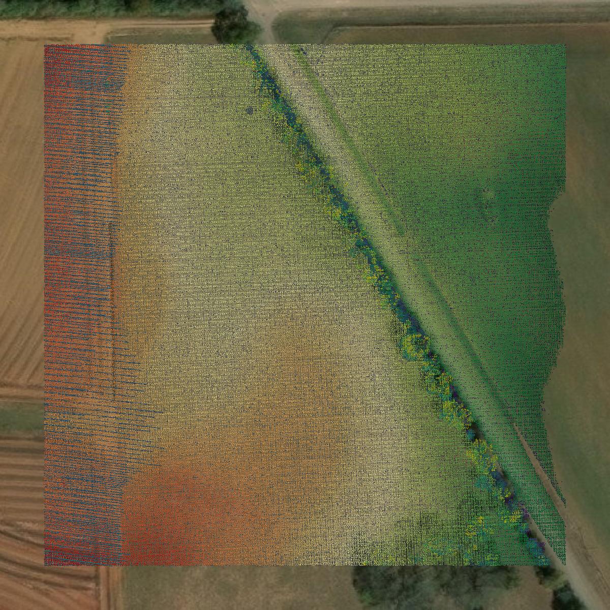 This image shows a LiDAR point cloud in Henry County created using GIS data in Equator.