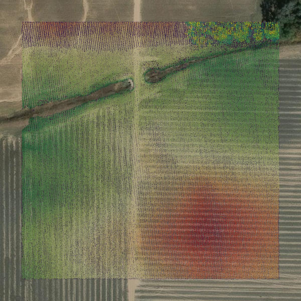 This image shows a LiDAR point cloud in Houston County created using GIS data in Equator.