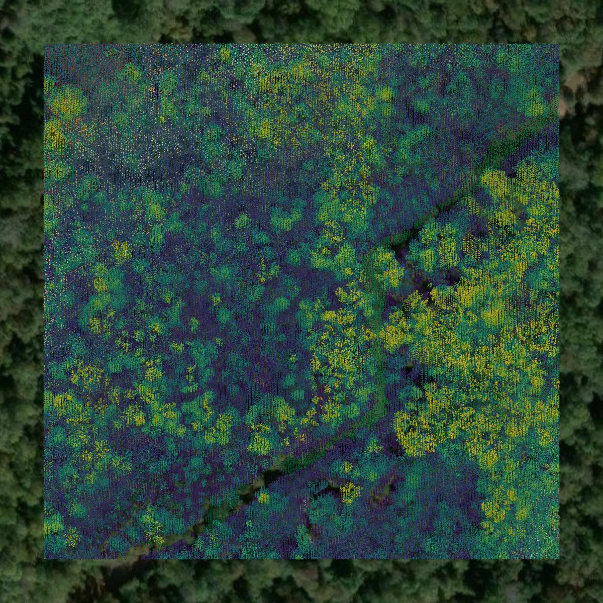 This image shows a LiDAR point cloud in Houston County created using GIS data in Equator.
