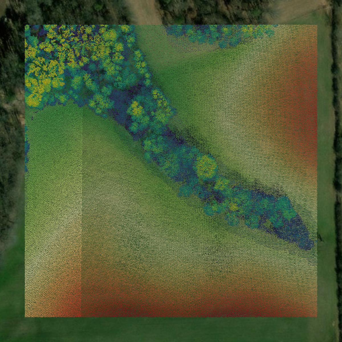 This image shows a LiDAR point cloud in Jackson County created using GIS data in Equator.