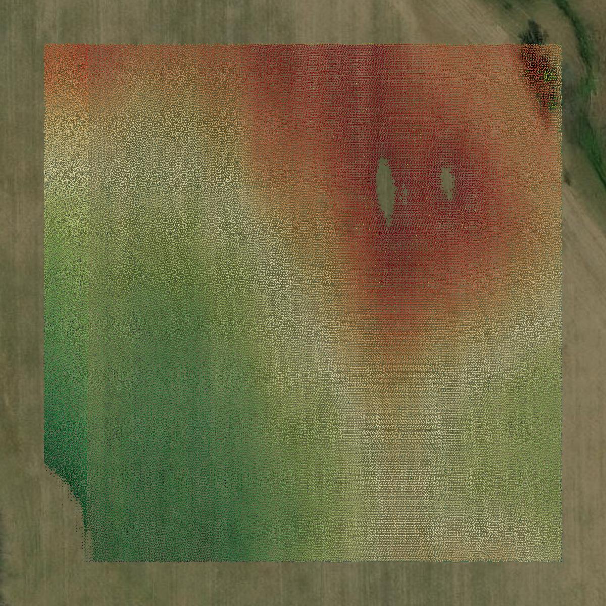 This image shows a LiDAR point cloud in Jackson County created using GIS data in Equator.