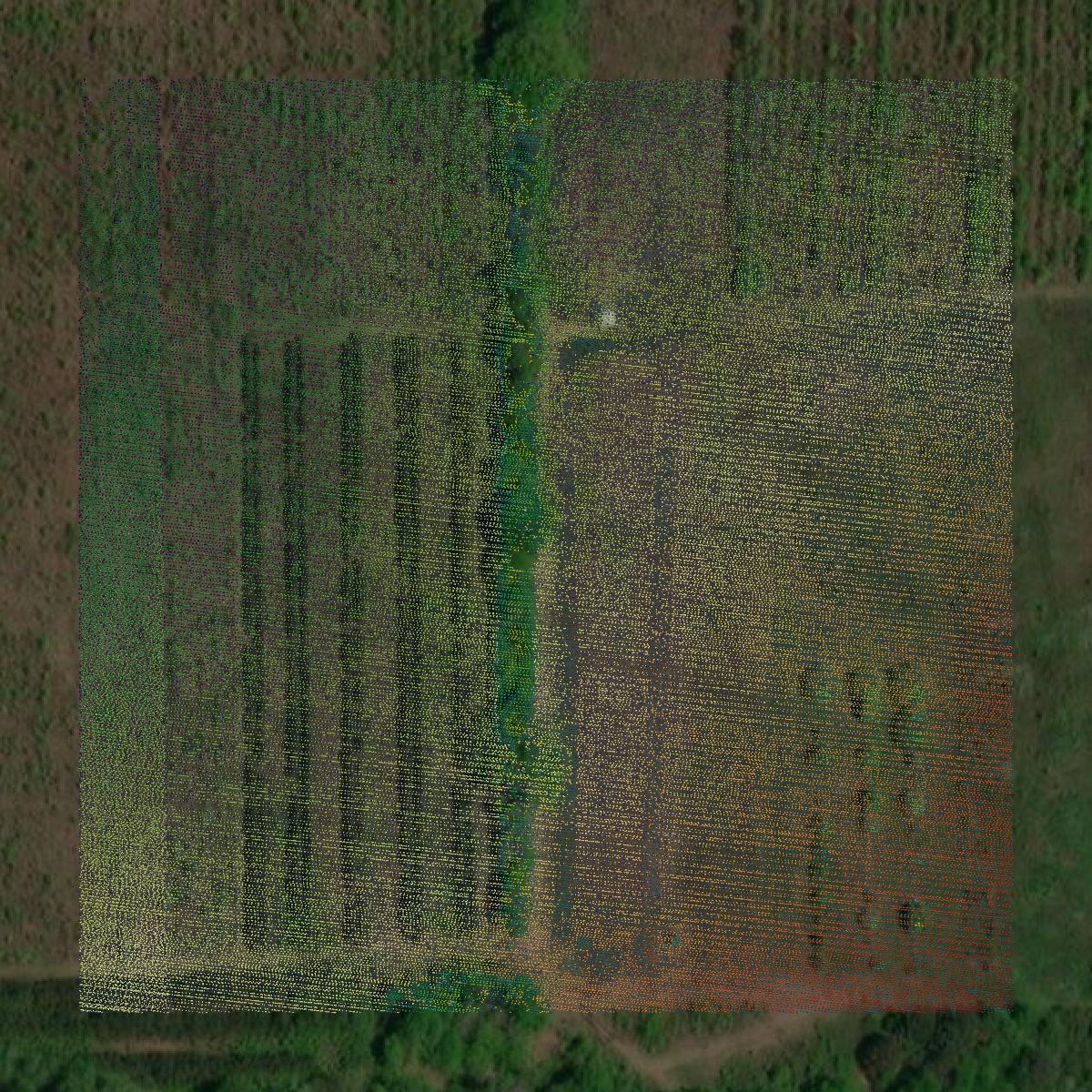 This image shows a LiDAR point cloud in Lamar County created using GIS data in Equator.