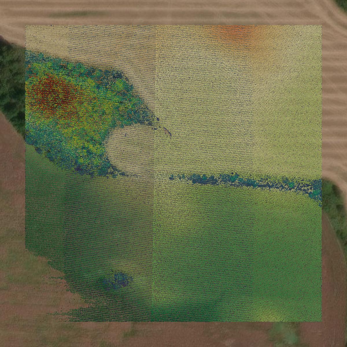 This image shows a LiDAR point cloud in Lauderdale County created using GIS data in Equator.