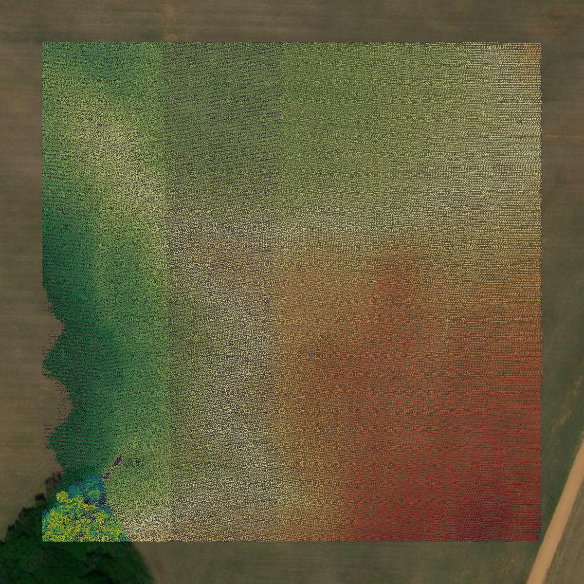 This image shows a LiDAR point cloud in Lauderdale County created using GIS data in Equator.