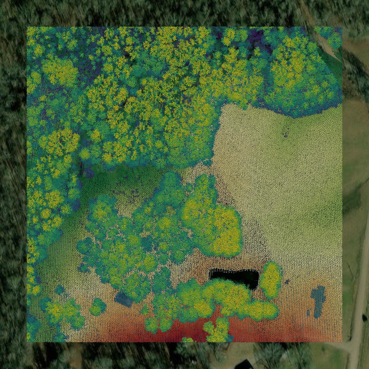 This image shows a LiDAR point cloud in Lawrence County created using GIS data in Equator.