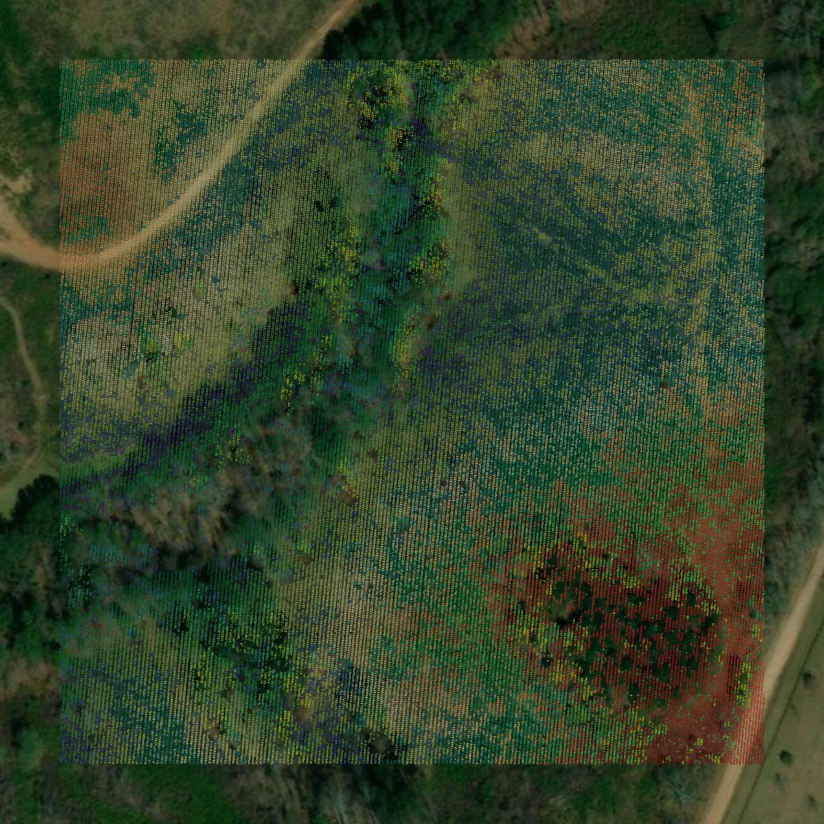 This image shows a LiDAR point cloud in Lee County created using GIS data in Equator.