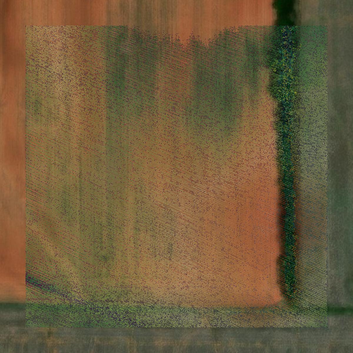 This image shows a LiDAR point cloud in Limestone County created using GIS data in Equator.