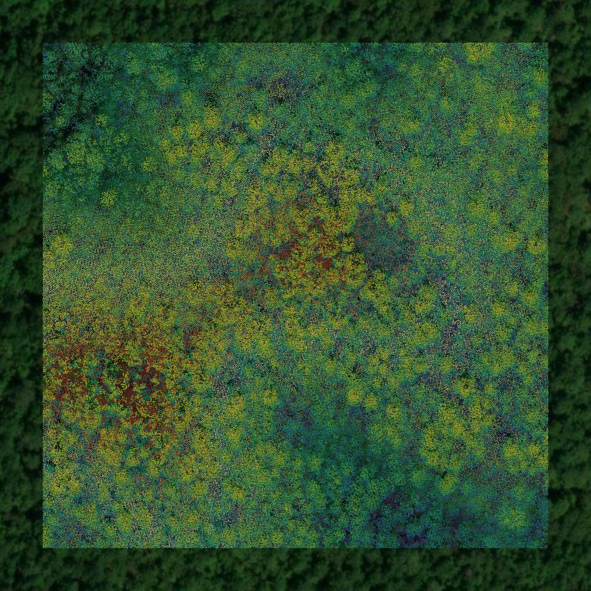 This image shows a LiDAR point cloud in Lowndes County created using GIS data in Equator.