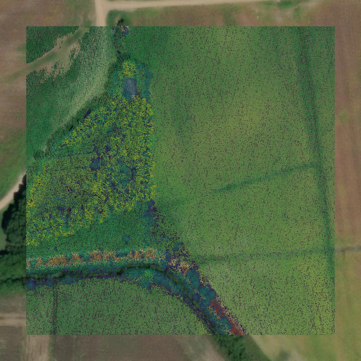 This image shows a LiDAR point cloud in Lowndes County created using GIS data in Equator.