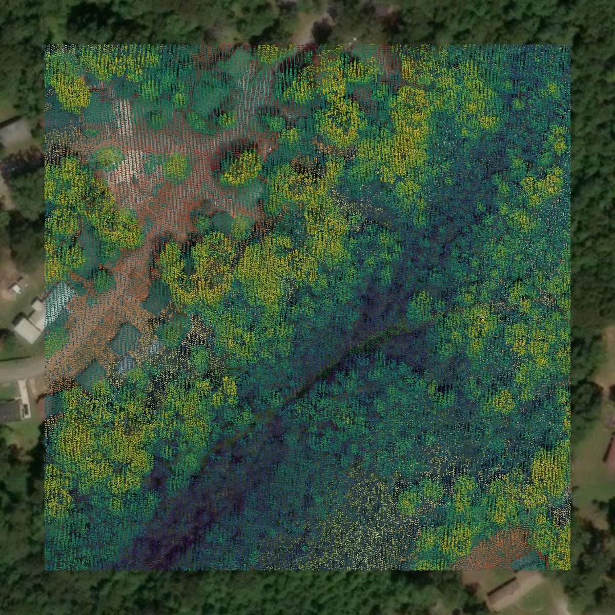 This image shows a LiDAR point cloud in Macon County created using GIS data in Equator.