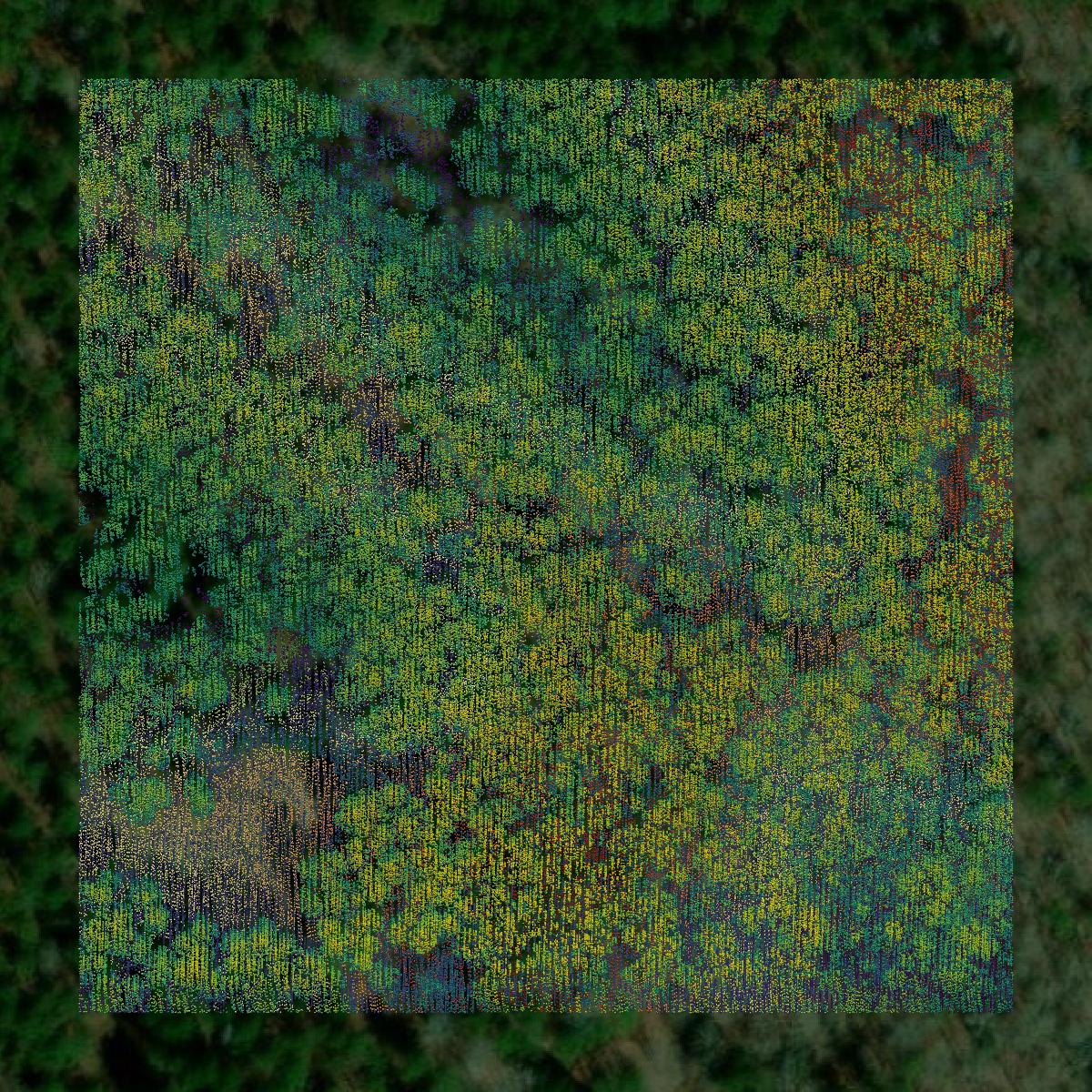 This image shows a LiDAR point cloud in Macon County created using GIS data in Equator.