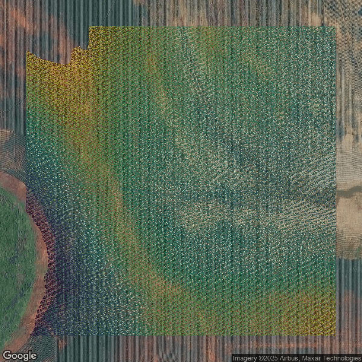 This image shows a LiDAR point cloud in Madison County created using GIS data in Equator.