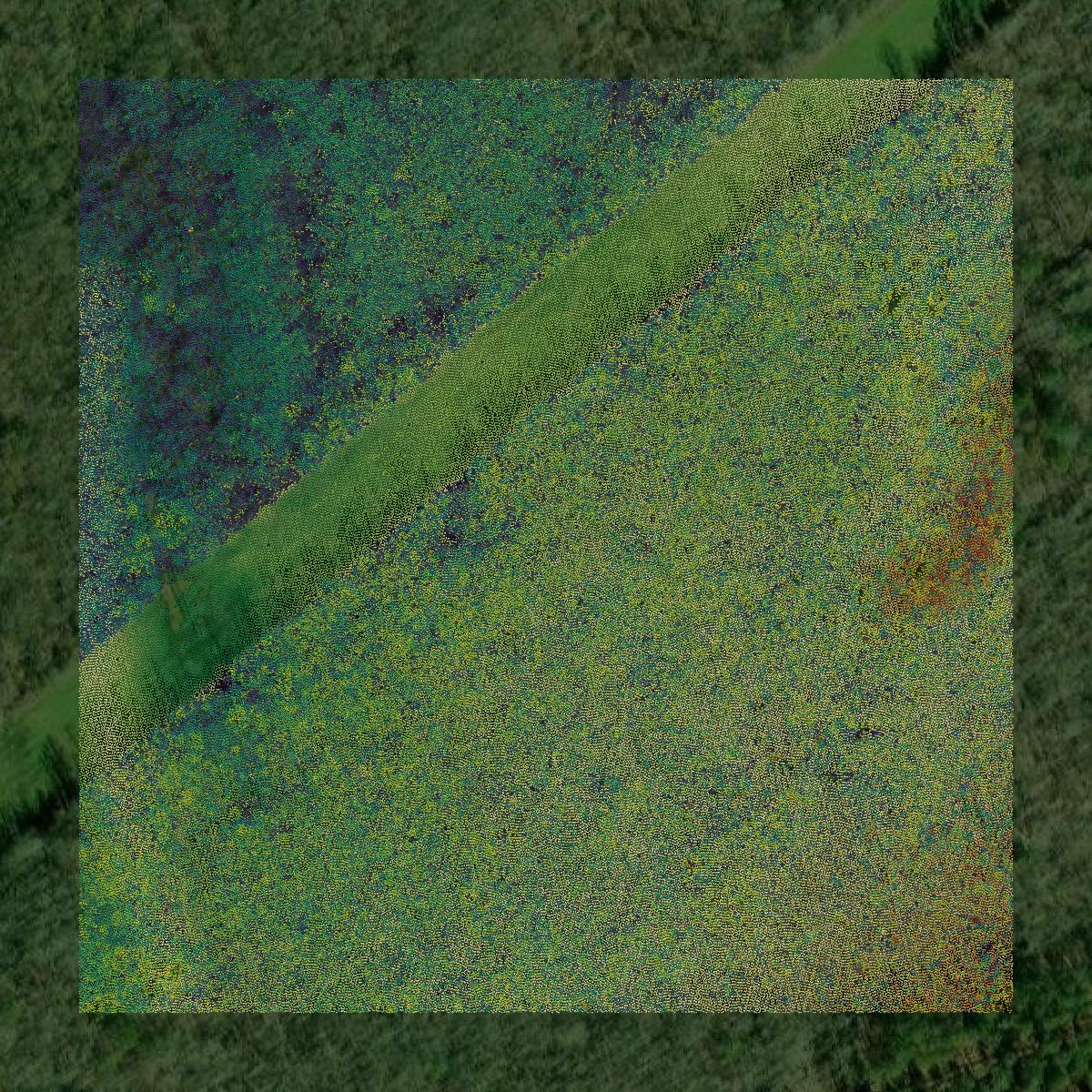 This image shows a LiDAR point cloud in Marengo County created using GIS data in Equator.