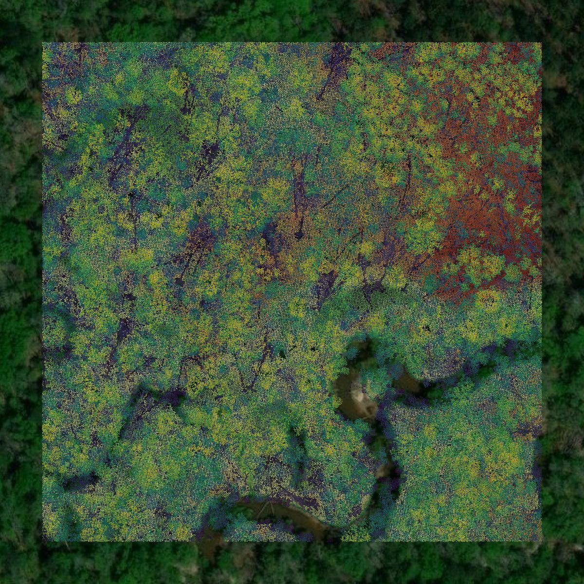 This image shows a LiDAR point cloud in Marengo County created using GIS data in Equator.