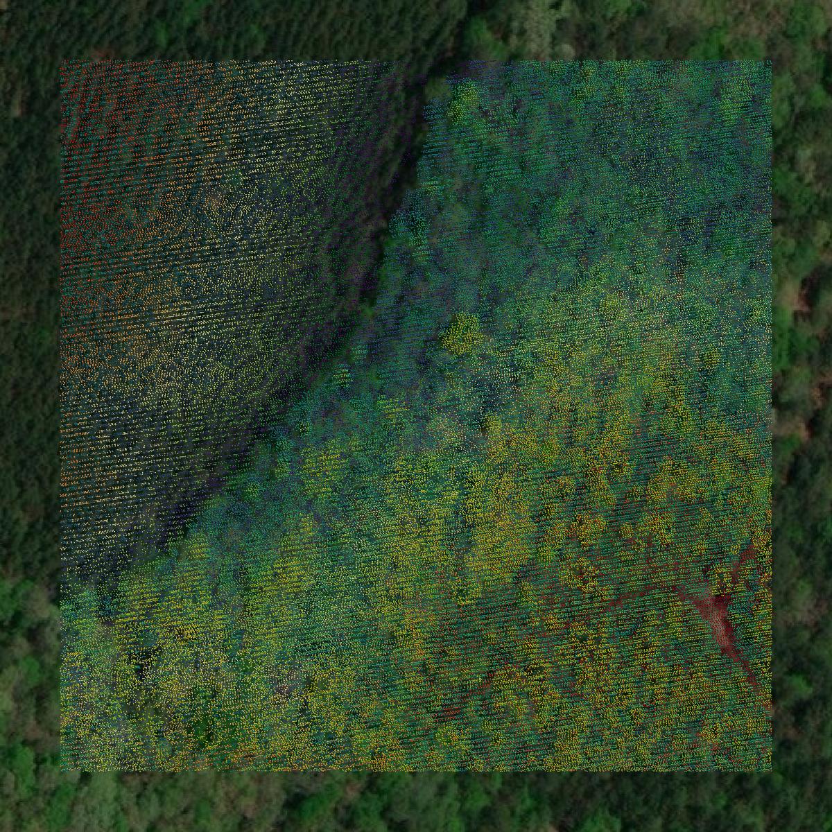 This image shows a LiDAR point cloud in Marion County created using GIS data in Equator.