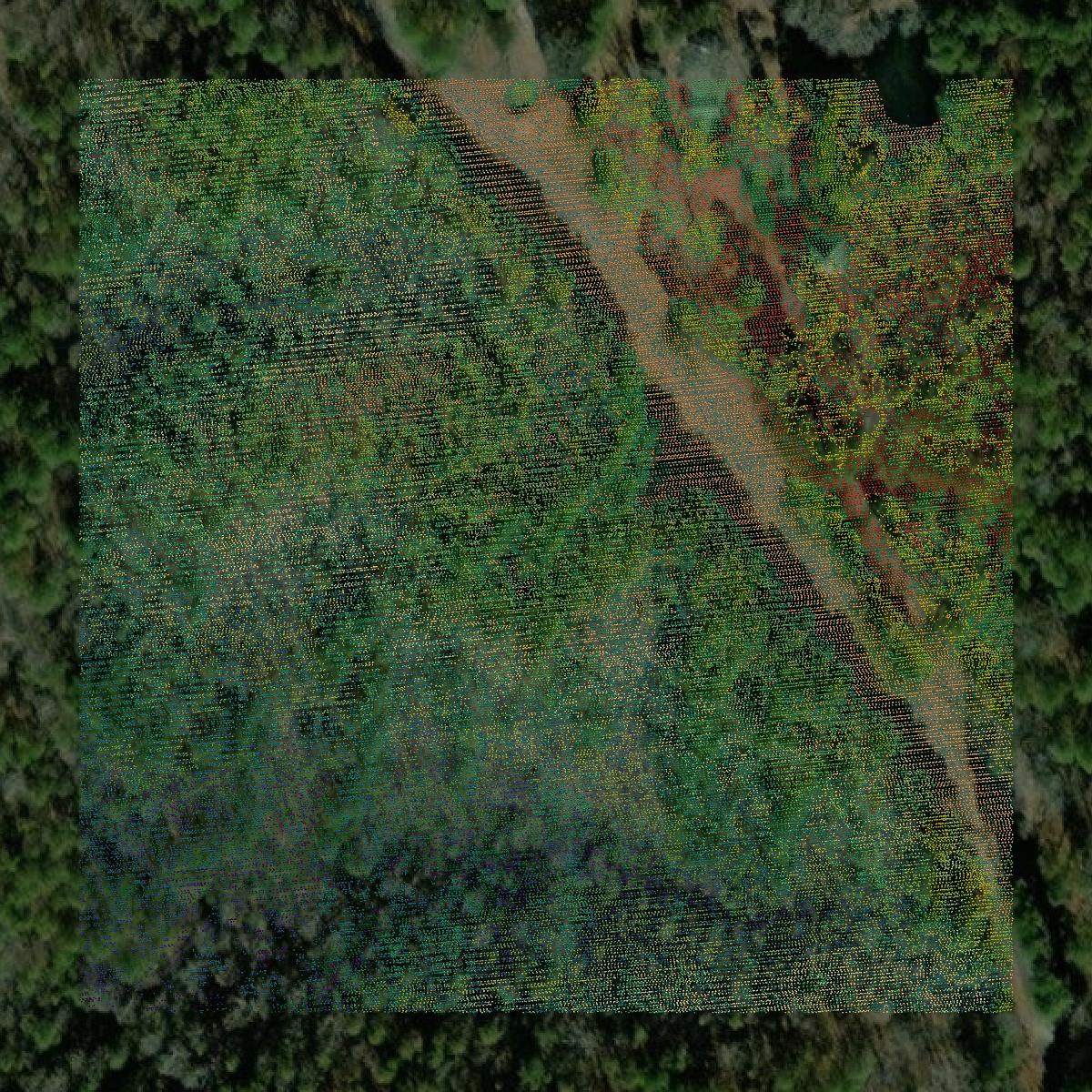 This image shows a LiDAR point cloud in Marion County created using GIS data in Equator.