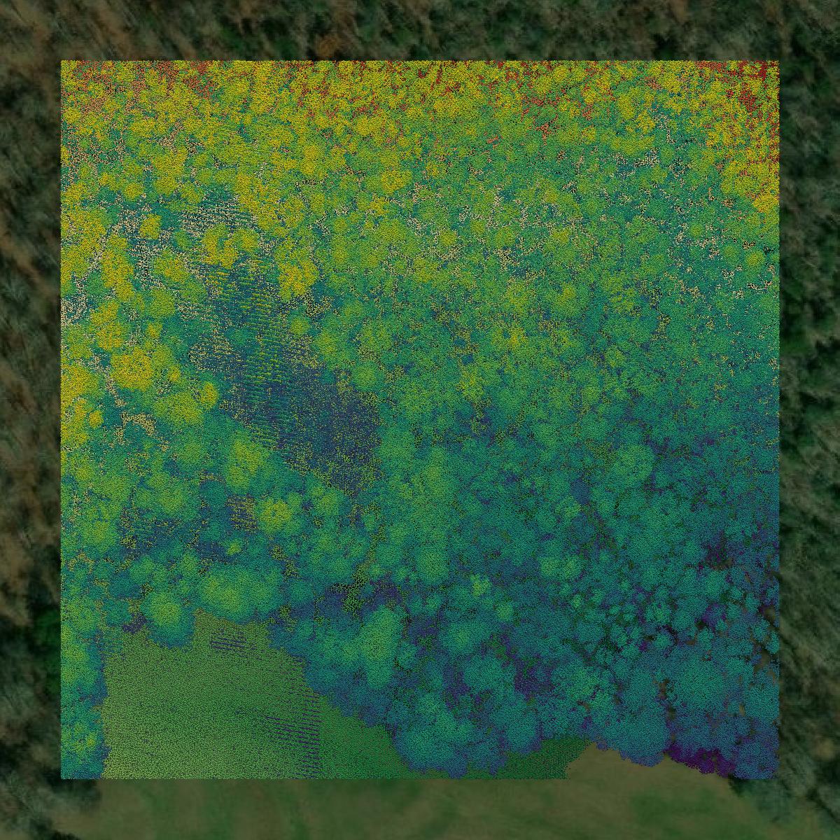 This image shows a LiDAR point cloud in Marshall County created using GIS data in Equator.