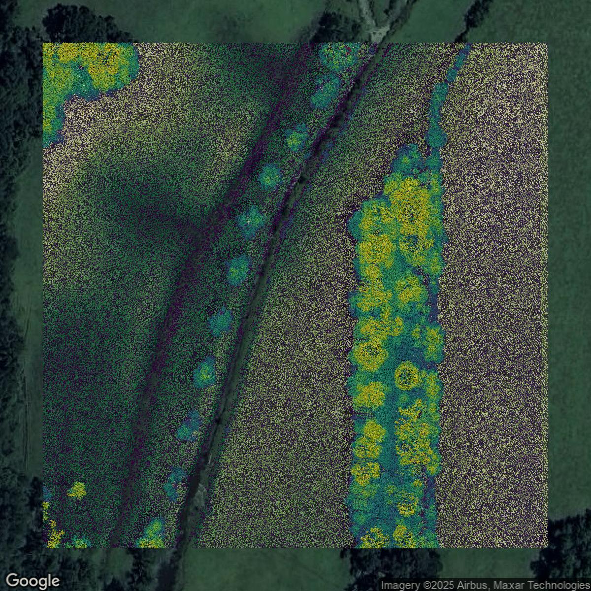 This image shows a LiDAR point cloud in Mobile County created using GIS data in Equator.