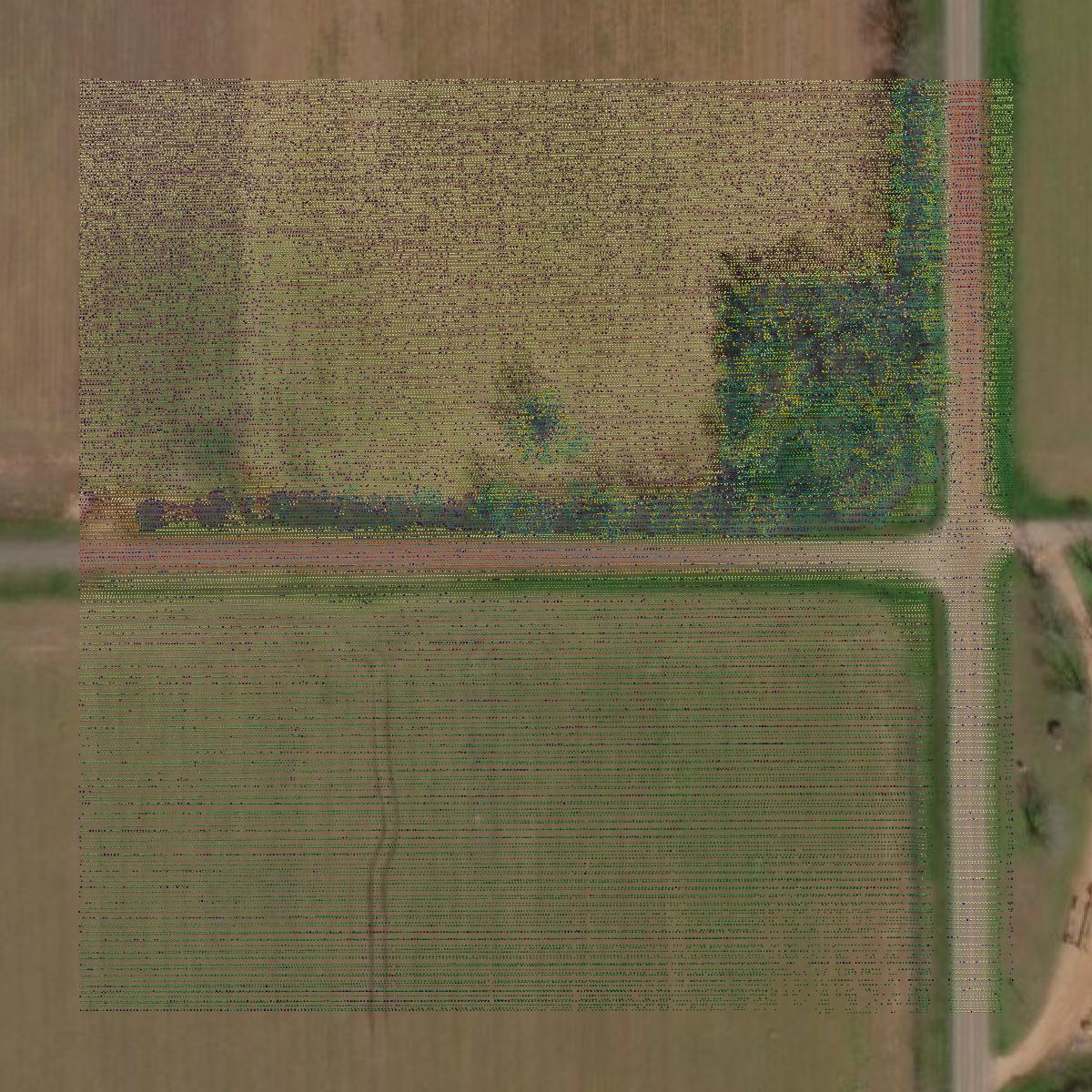 This image shows a LiDAR point cloud in Monroe County created using GIS data in Equator.