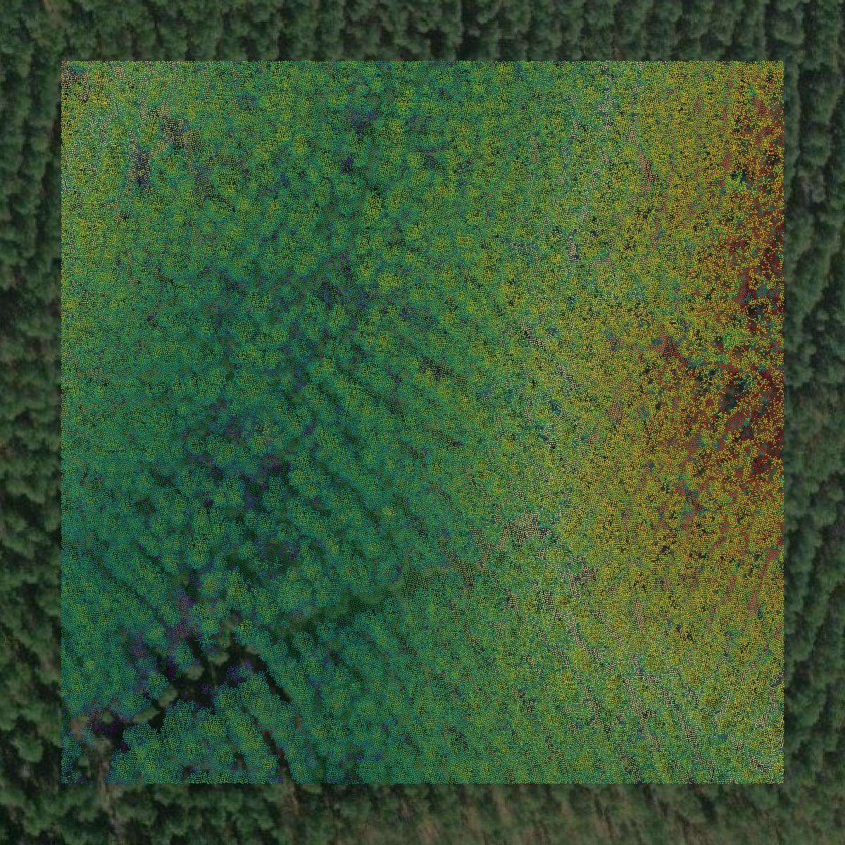 This image shows a LiDAR point cloud in Montgomery County created using GIS data in Equator.