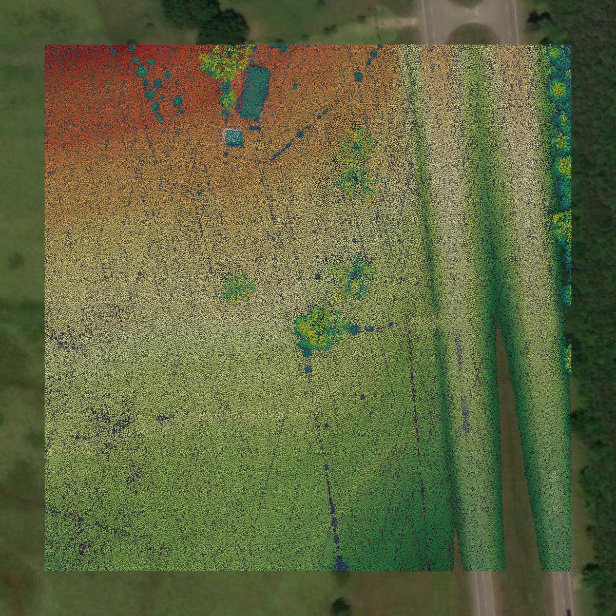 This image shows a LiDAR point cloud in Montgomery County created using GIS data in Equator.
