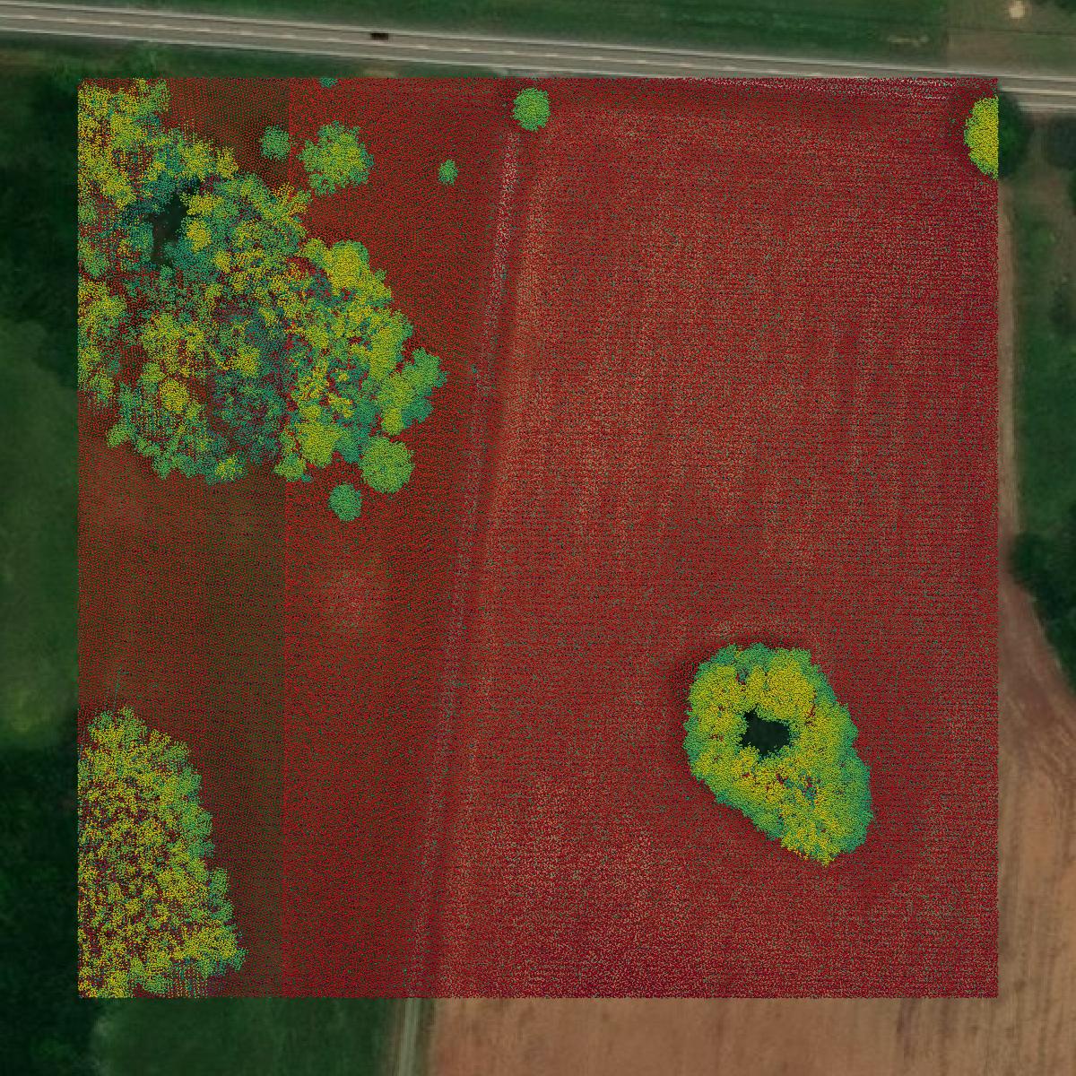 This image shows a LiDAR point cloud in Morgan County created using GIS data in Equator.