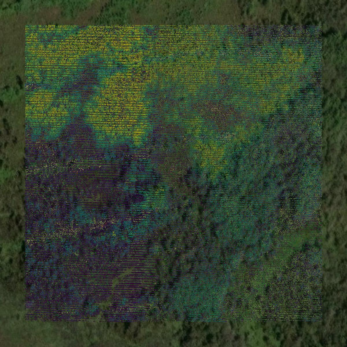 This image shows a LiDAR point cloud in Pickens County created using GIS data in Equator.