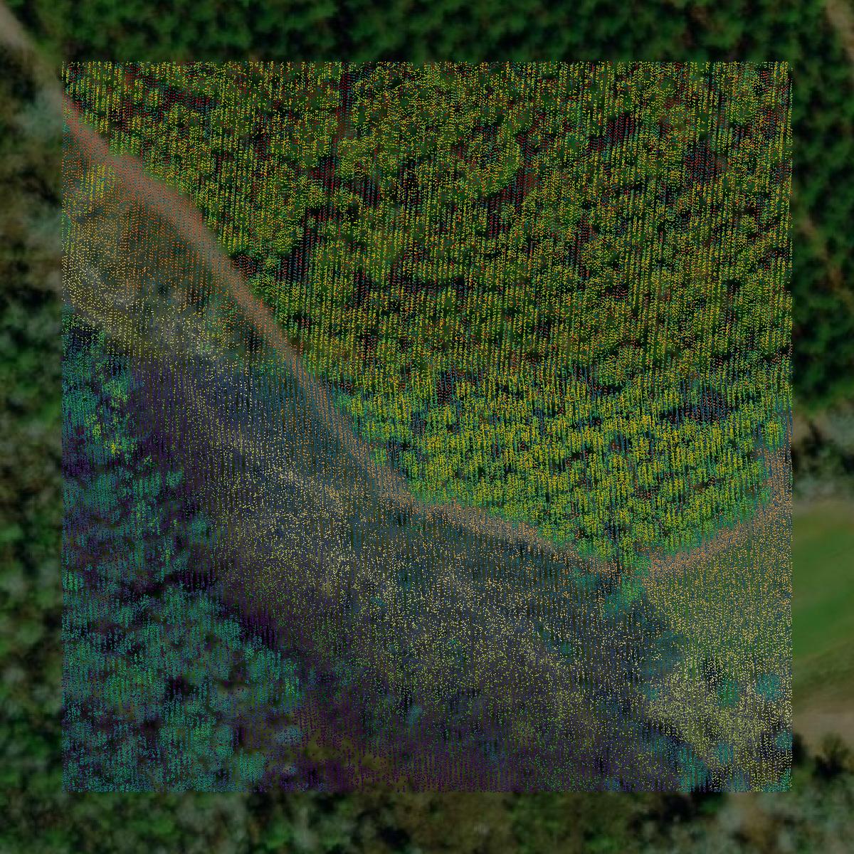This image shows a LiDAR point cloud in Pike County created using GIS data in Equator.