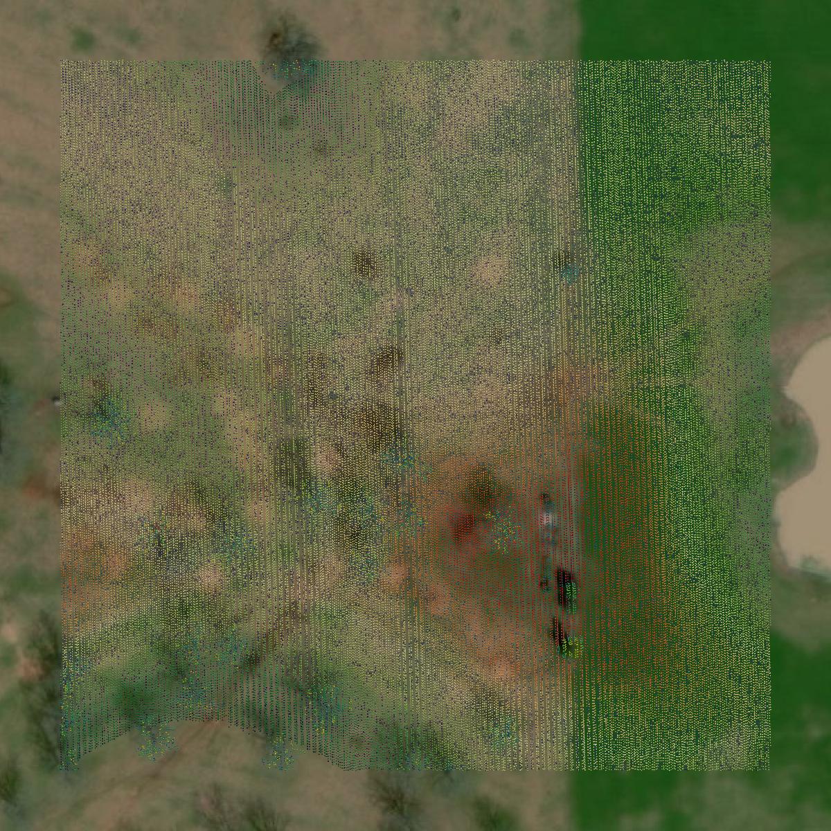 This image shows a LiDAR point cloud in Pike County created using GIS data in Equator.