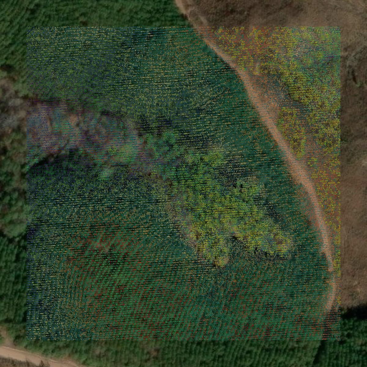 This image shows a LiDAR point cloud in Randolph County created using GIS data in Equator.