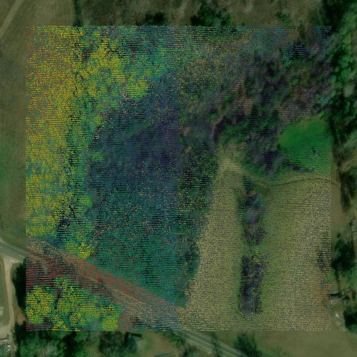 This image shows a LiDAR point cloud in Randolph County created using GIS data in Equator.